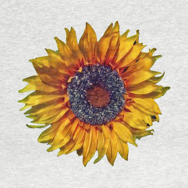 Sunflower-Digital Painting by PhotoArts